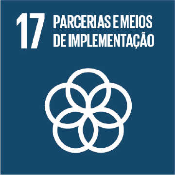 ODS 17